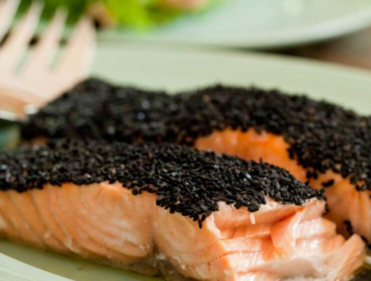 Salmon recipes