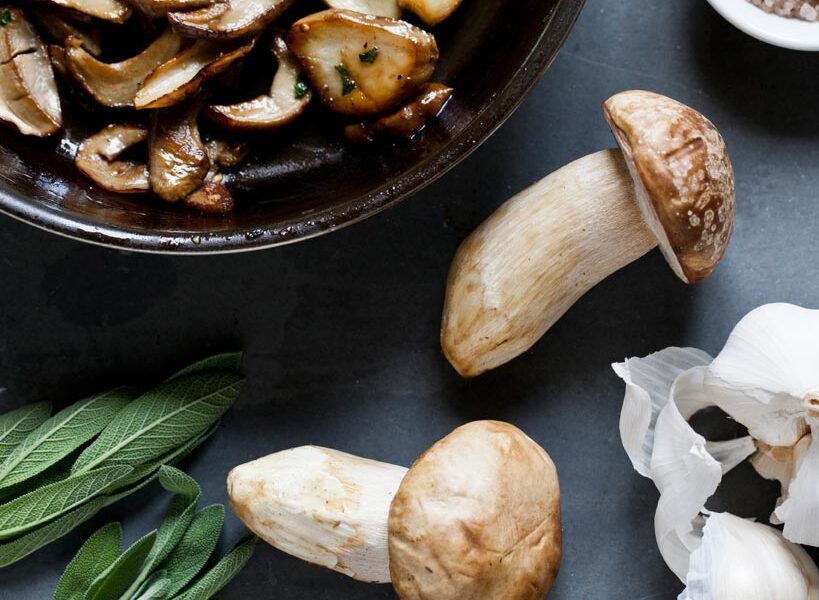 Porcini, Garlic and Fresh Herb Sandwich