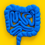 what is IBS