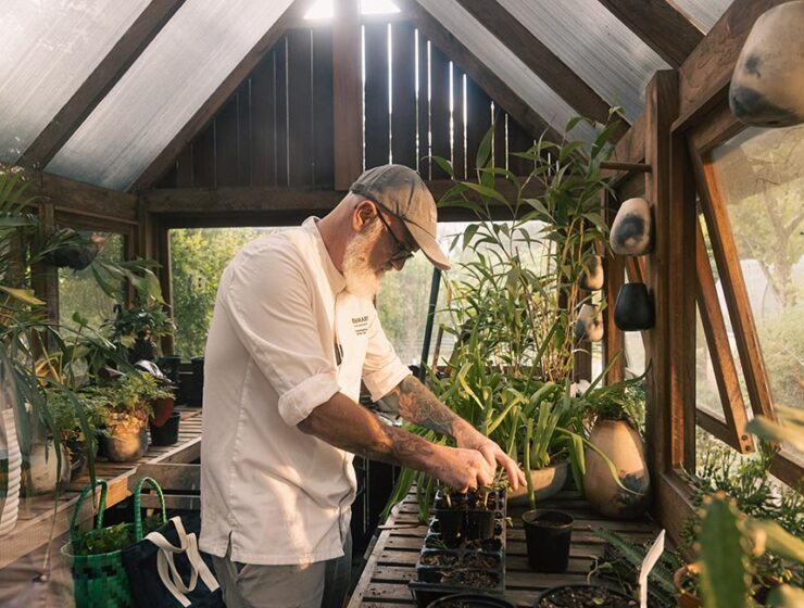 terrarium