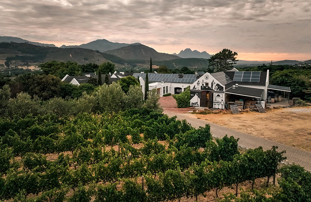 Black Elephant Vintners Franschhoek winery
