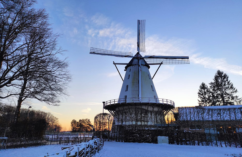 Oud Conynsberg Wijndomein, Belgium.