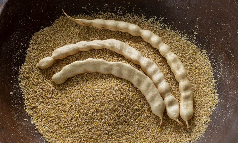 What is mesquite coffee?