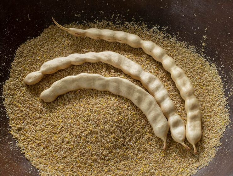 What is mesquite coffee?