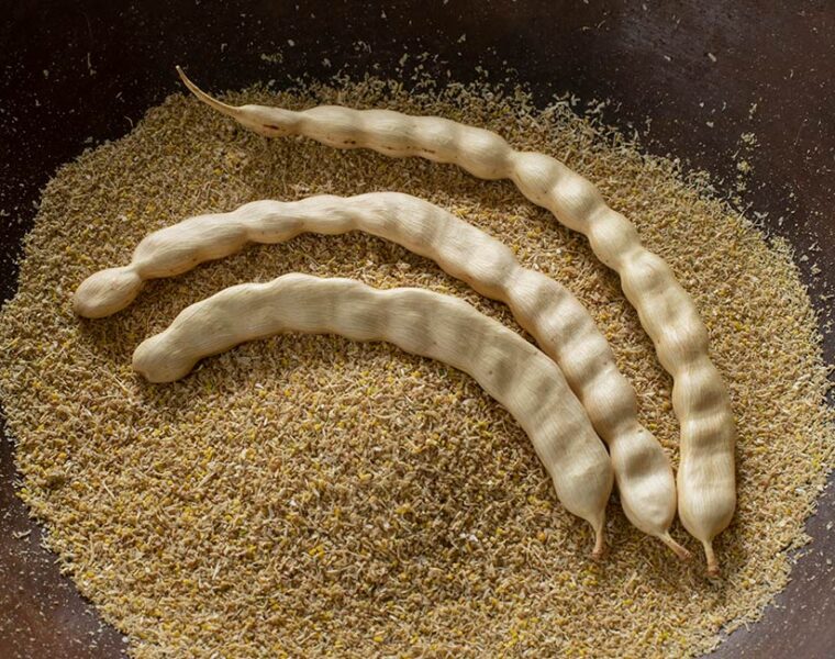 What is mesquite coffee?