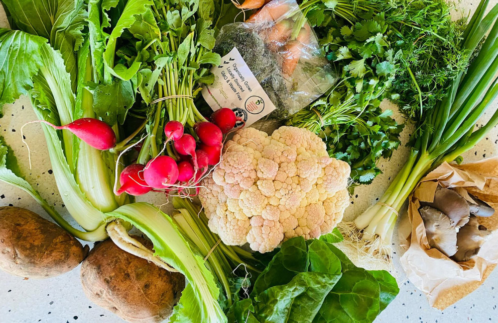 South African food subscriptions | Greenheart Organics