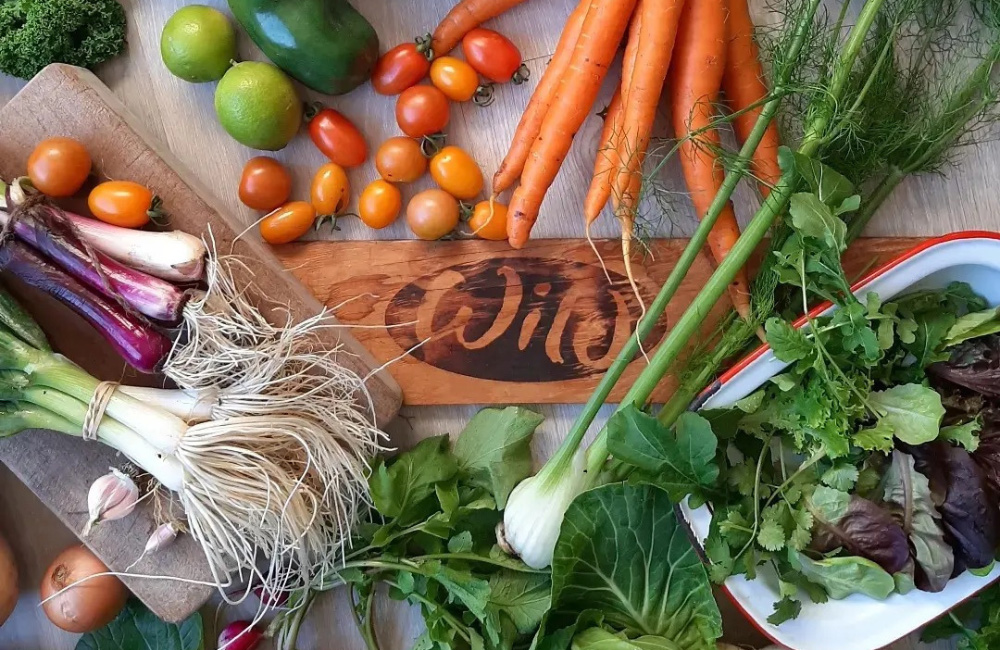 South African food subscription services | Wild Organics