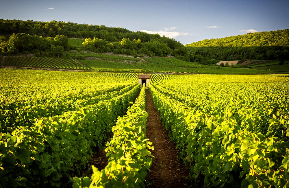 Burgundy france