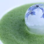 Green Gazpacho with Flowered Ice Cubes