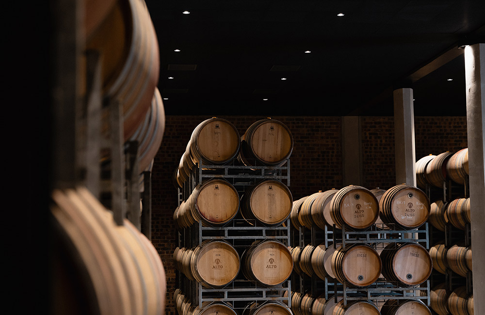 Alto Estate wine cellar