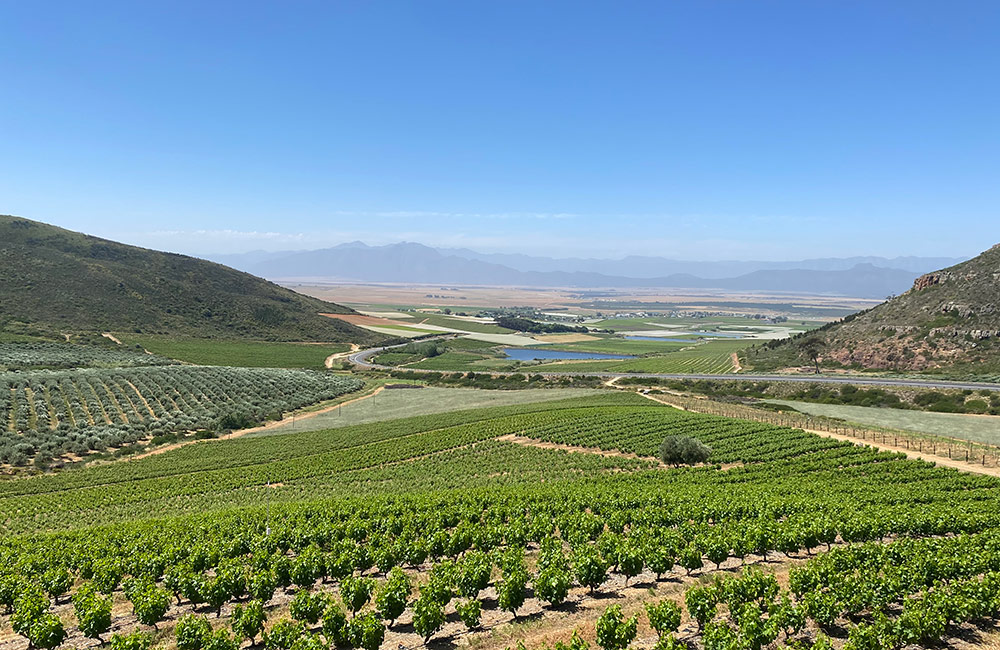 Riebeek-Kasteel-view