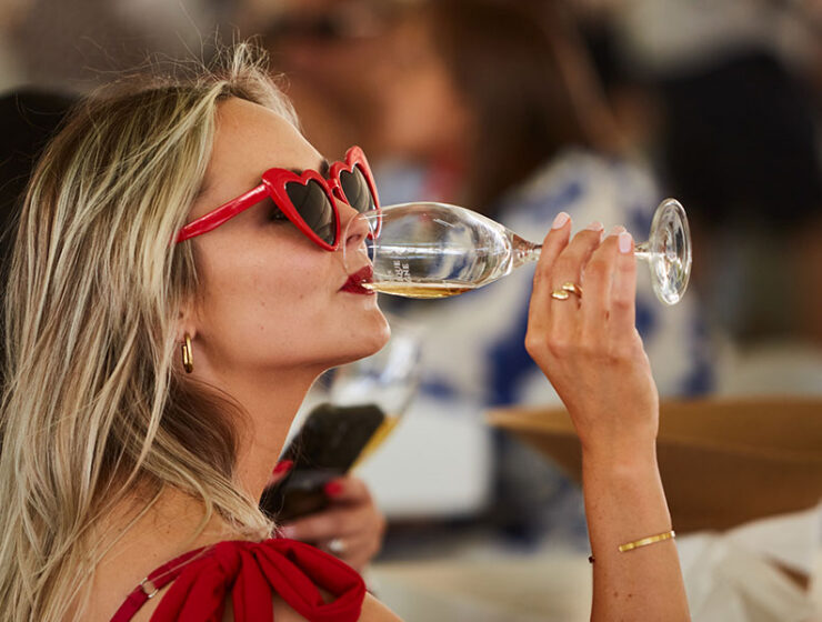 Capitec Franschhoek Cap Classique and Champagne Festival