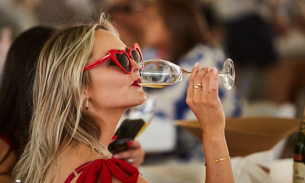 Capitec Franschhoek Cap Classique and Champagne Festival