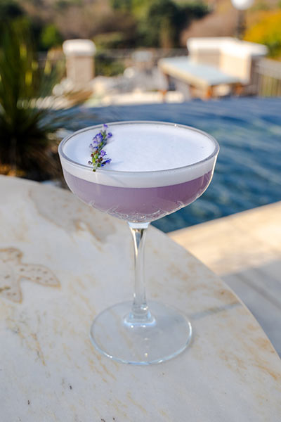 Jacaranda Afternoon Tea