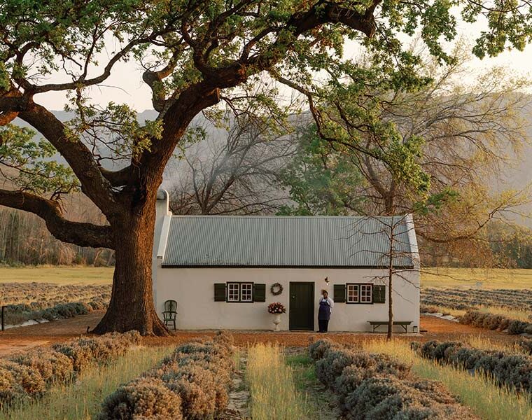 Jan Franschhoek Season V